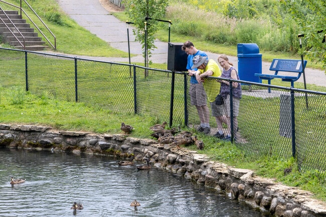 Minnieska Park is a great place to feed the ducks in Cannon Falls.