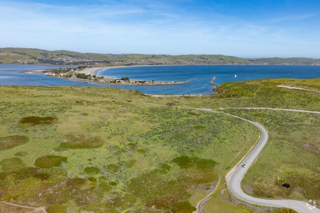 The Bodega Head offers great hiking trails and views of Doran Beach and Bodega Bay's waterfront.