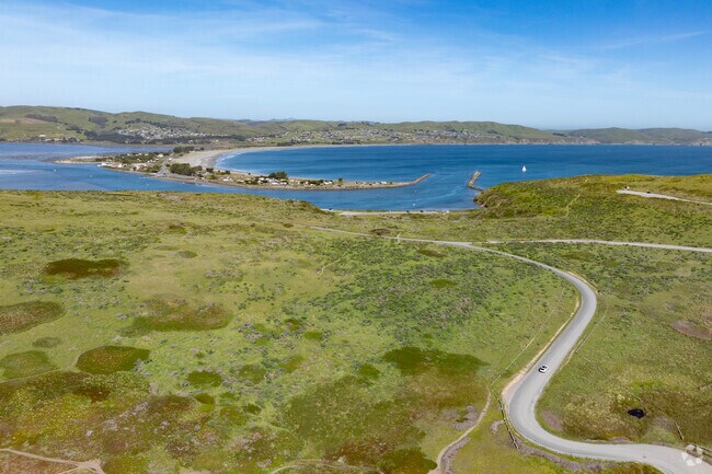 The Bodega Head offers great hiking trails and views of Doran Beach and Bodega Bay's waterfront.