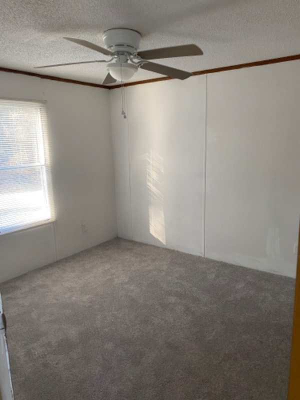 2608 New Hope Rd, La Grange, NC 28551 - photo 3