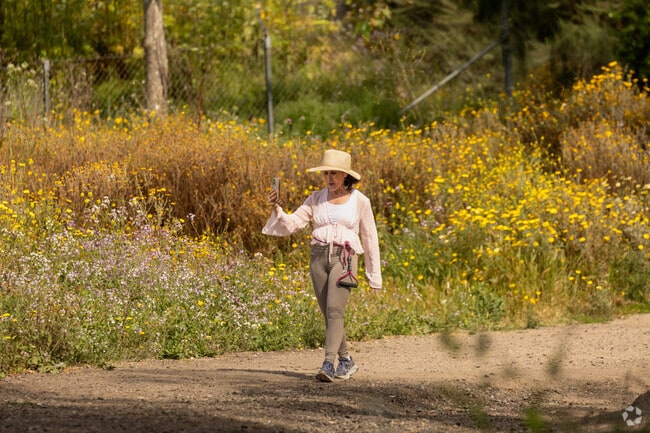 Whether you're seeking a beach day or an afternoon hike, Seal Beach offers iconic adventures.