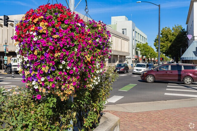 Beautiful flowers bloom along the downtown streets near West Main.