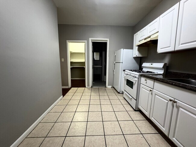 2228 W 18th Place unit 2228 W. 18 PL 1F, Chicago, IL 60608 - photo 5