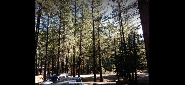 108 Mono St, Mammoth Lakes, CA 93546 - photo 5