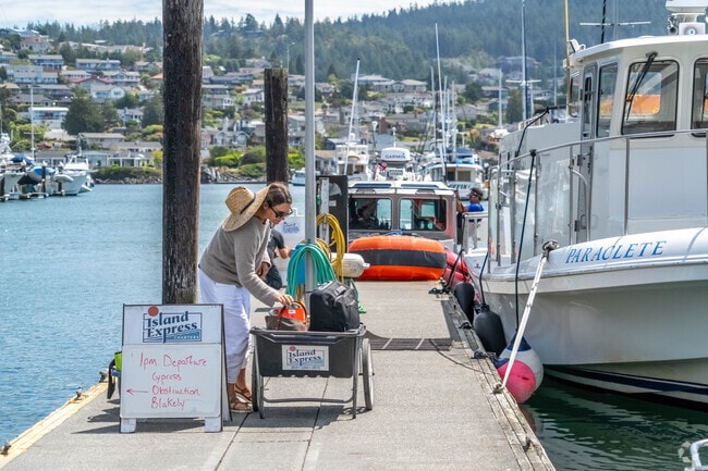 Hop on a whale watching boat at Skyline Marina.