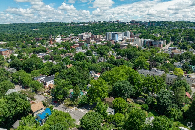 Ithaca is a small city known for its academic presence and natural surroundings.