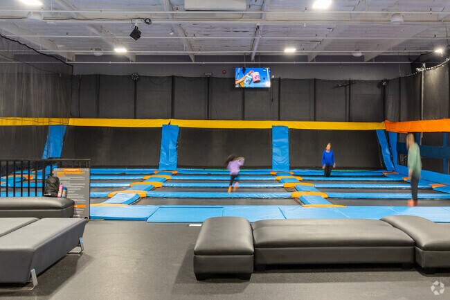 Take your kids to Sky Zone Trampoline Park in Sundale to have fun jumping on the trampolines.