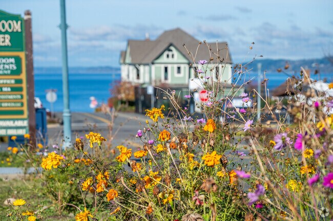 You can find vibrant wildflowers with the backdrop of the sound in Steilacoom.