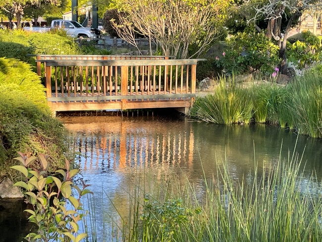 444 Whispering Pines Dr, Scotts Valley, CA 95066 - photo 2