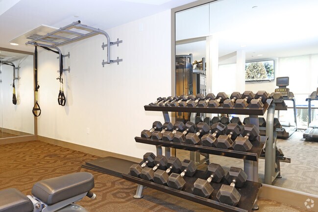 Cirrus Redwood City, Redwood City, CA 94061 - photo 6