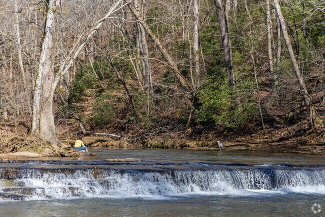 Visitors to David Crockett State Park can watch wildlife on the Little Shoal Creek in Lawrenceburg.