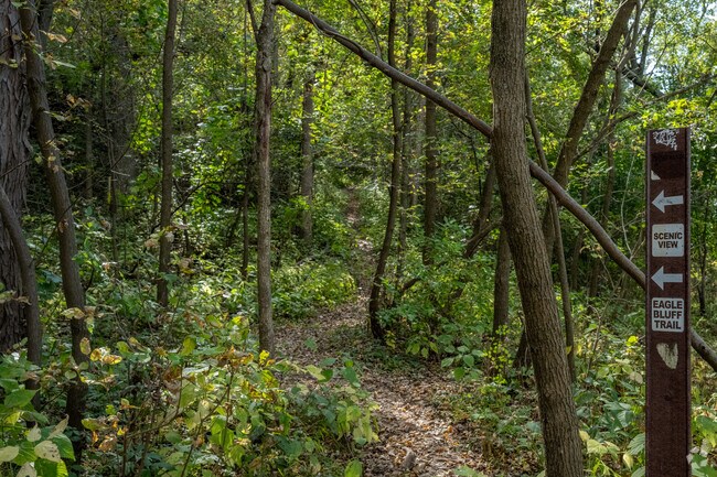 The Falls Bull Loop Trail can be accessed near Cascade Falls.