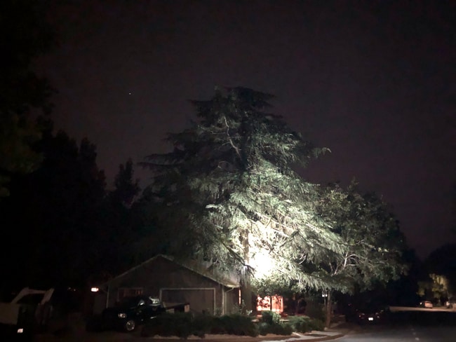 906 Sycamore Ln, Davis, CA 95616 - photo 3