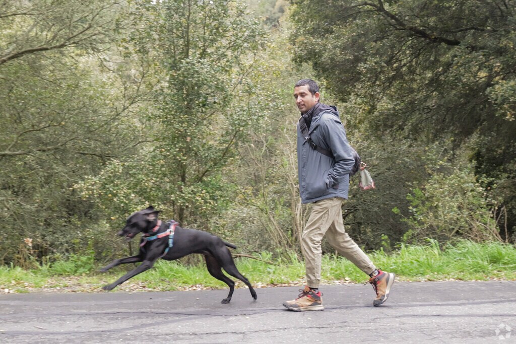 Another peaceful hiking scene with his dogs at Sibley Volcanic Regional Preserve, Orinda.
