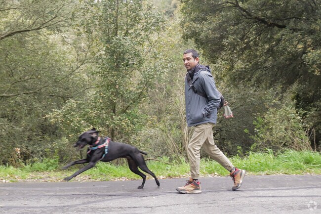 Sibley Volcanic Regional Preserve provides lots of great day hiking opportunities for Central  Orinda.