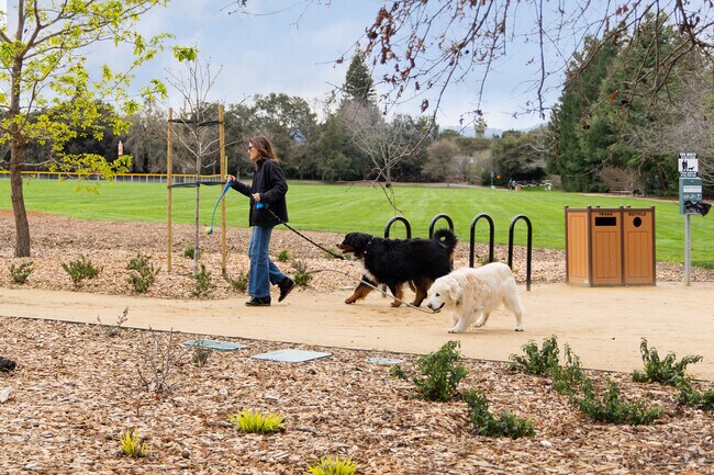 Holbrook Palmer Park in Lindenwood is the perfect place to walk your dog.