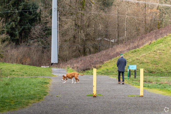 Walk your dog at Bright Water Park.