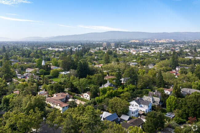 Tree-lined streets define the tranquil charm of Old Palo Alto's neighborhood vibe.