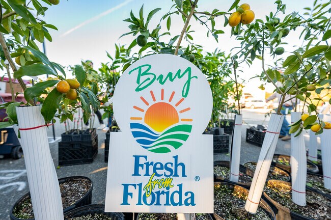 Dade City is home to farmer's markets and festivals that celebrate agriculture.