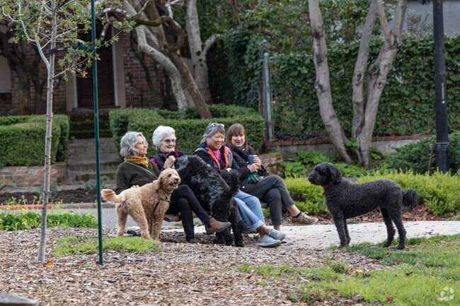 An afternoon walk with your dog in Claremont is a peaceful way to enjoy the neighborhood’s calm streets and greenery.
