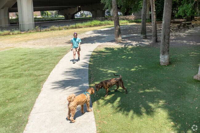 At John Gorrie Dog Park, pets and their owners can get fresh air and exercise.