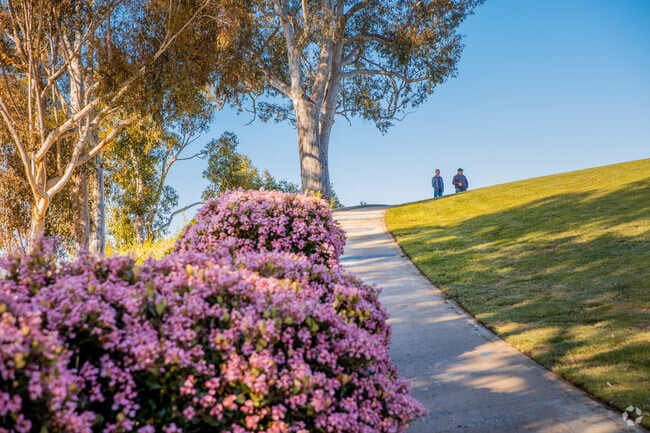 Morning is a great time to take in the views at Grant Hill Park.