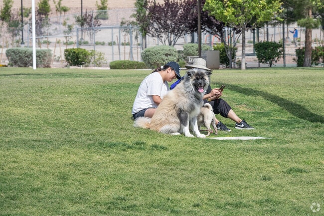 Skye Canyon Park is pet-friendly and packed with amenities.