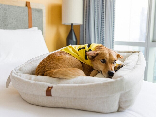 Sentral First Hill, Seattle, WA 98104 - photo 4