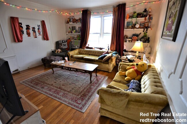 58 Bellvista Rd unit 2, Brighton, MA 02135 - photo 4