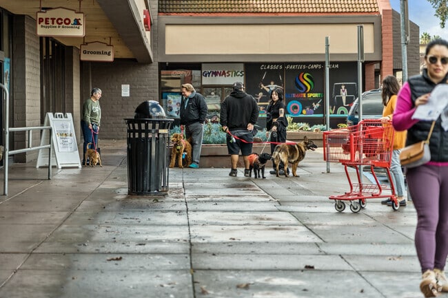 Dog training class gathers outside Petco near Pacheco.