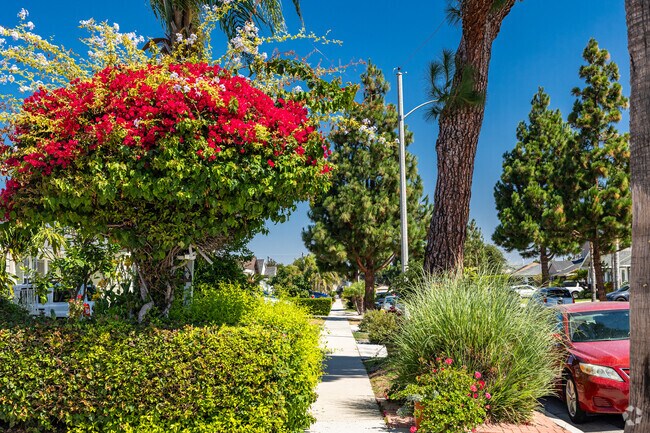 Many Alondra Park sidewalks are lined with native plants and flowering bushes.