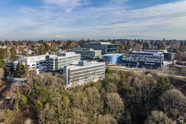 The western section of Overlook neighborhood near Swan Island Basin hosts numerous warehouses.