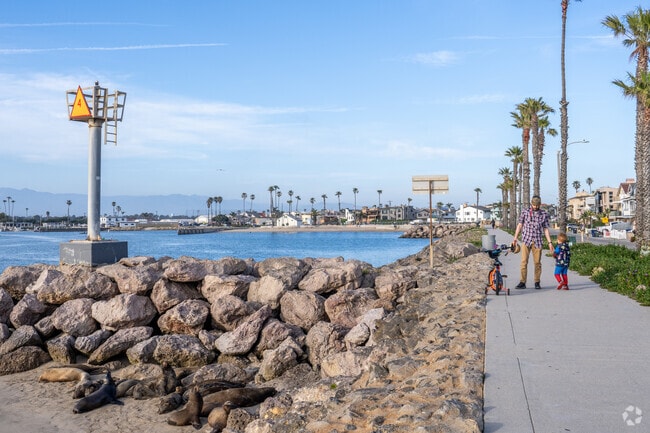 When you need adventure you can go to Silver Strand Beach and enjoy the wildlife with family.
