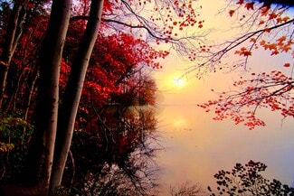 HANG YANG