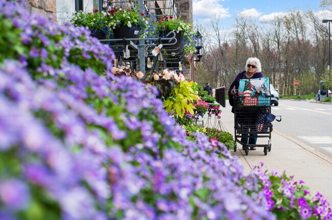 Northborough resident shops for flowers at Wegmans Northborough Crossing