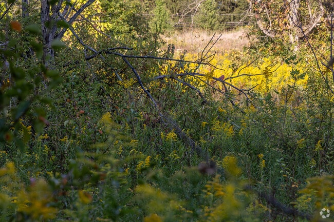 Gahanna Nature Preserve, near Rathburn Woods, offers peaceful trails and scenic views.