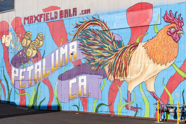 Petaluma celebrates it's long poultry history through murals and art.