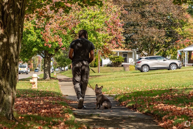 Wick Park has plenty of places to take your dogs for a walk.