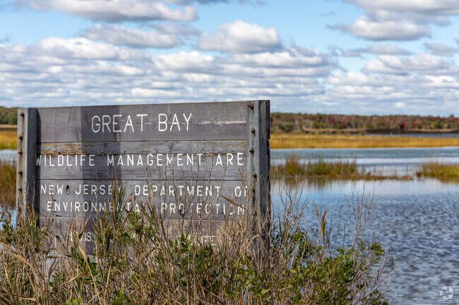 Great Bay Boulevard Wildlife Management Area is located in Little Egg Harbor Township, NJ.