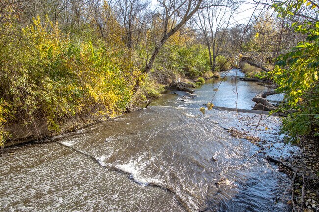 North Branch Kishwaukee River at Brookdale Conservation Area.
