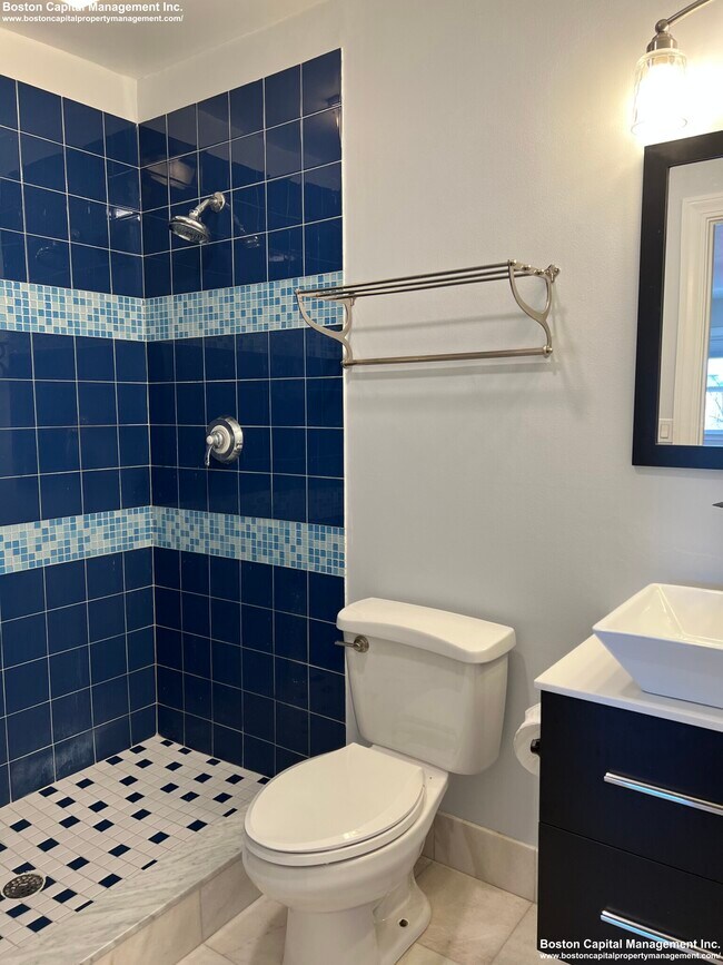 731 Cambridge St unit 2, Brighton, MA 02135 - photo 5