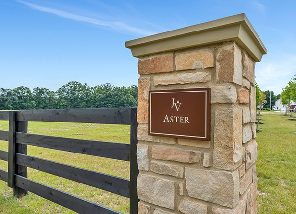 Community Aster 600x435.jpg