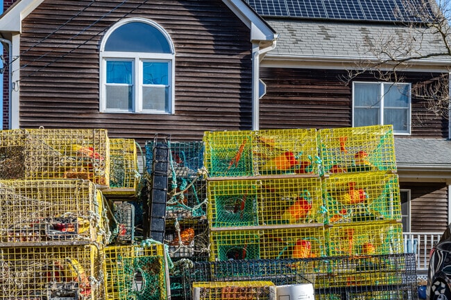 Lobsters can be caught  in the Beavertail neighborhood but not on land.