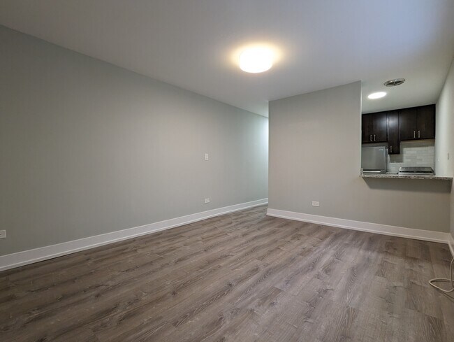 456 W Barry Ave unit 418, Chicago, IL 60657 - photo 4