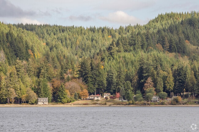 A row of cabin style homes along the waterfront in Quilcene WA.