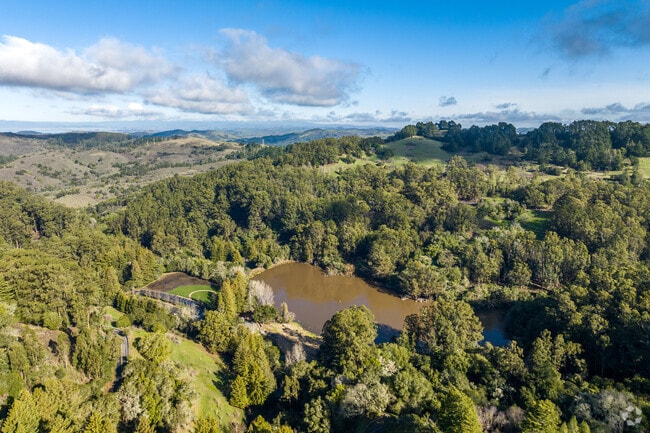 Overview of Tilden Regional Park in the Berkeley Hills neighborhood.