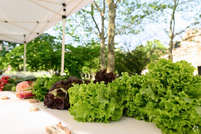 Come visit Eagleview's town center, especially on Thursdays to enjoy the local farmers market.