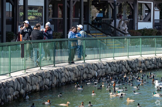 Enjoy the scenic walk around Lake Arrowhead.