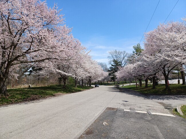 1720 Memorial Ave unit Three, Philadelphia, PA 19104 - photo 2
