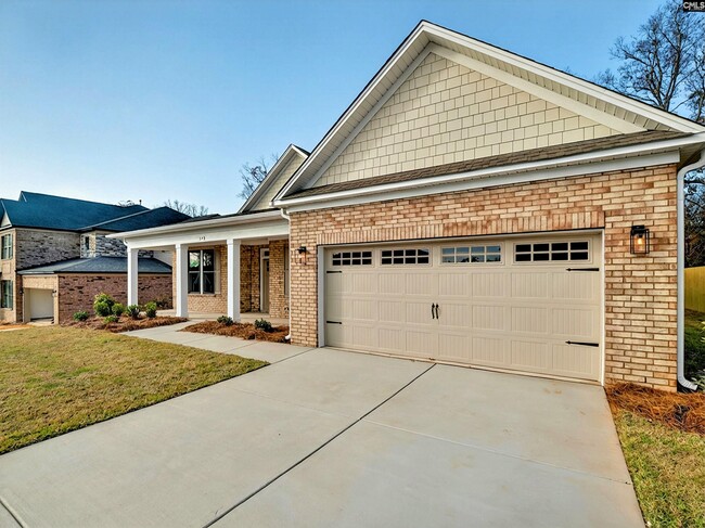 328 Murray Falls Ln, Chapin, SC 29036 - photo 4